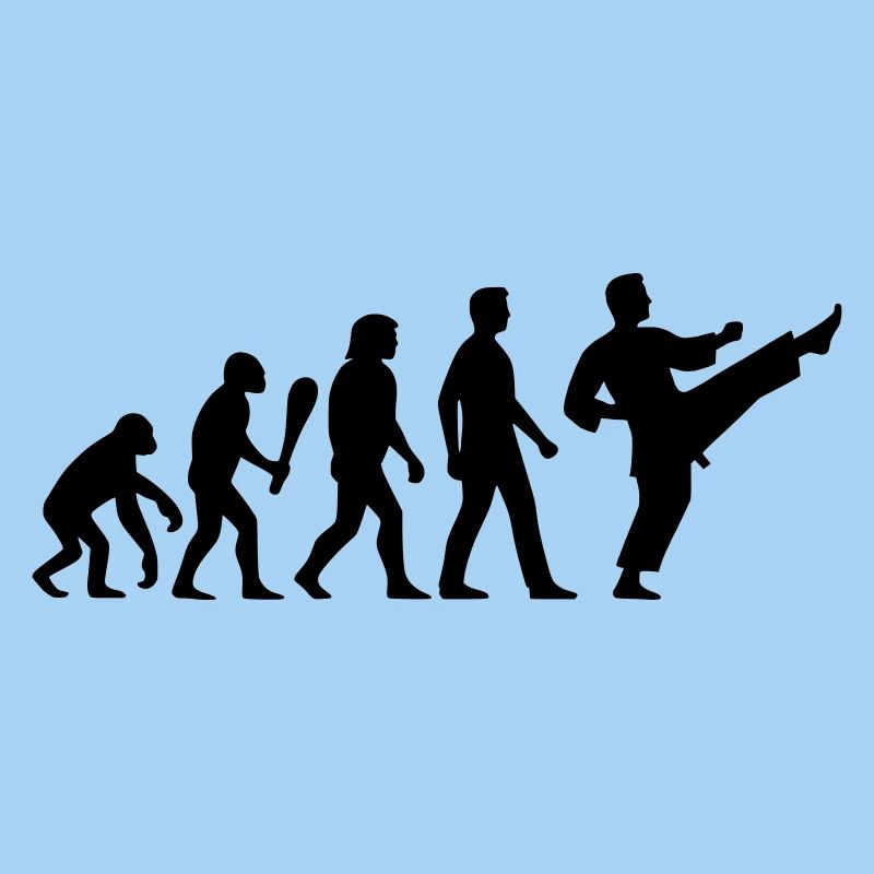 Karaté Évolution