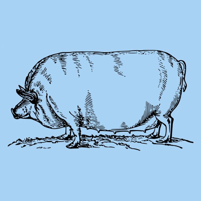 sow