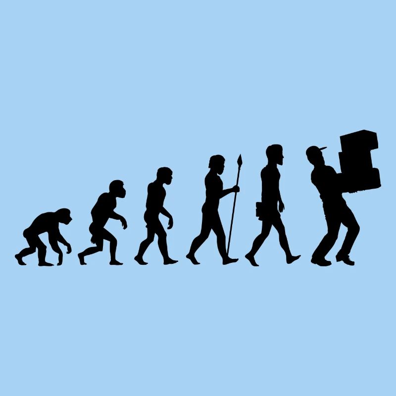 Evolution Paketzusteller T-Shirt Postbote Geschenk