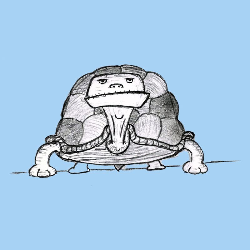 Turtle # North German art