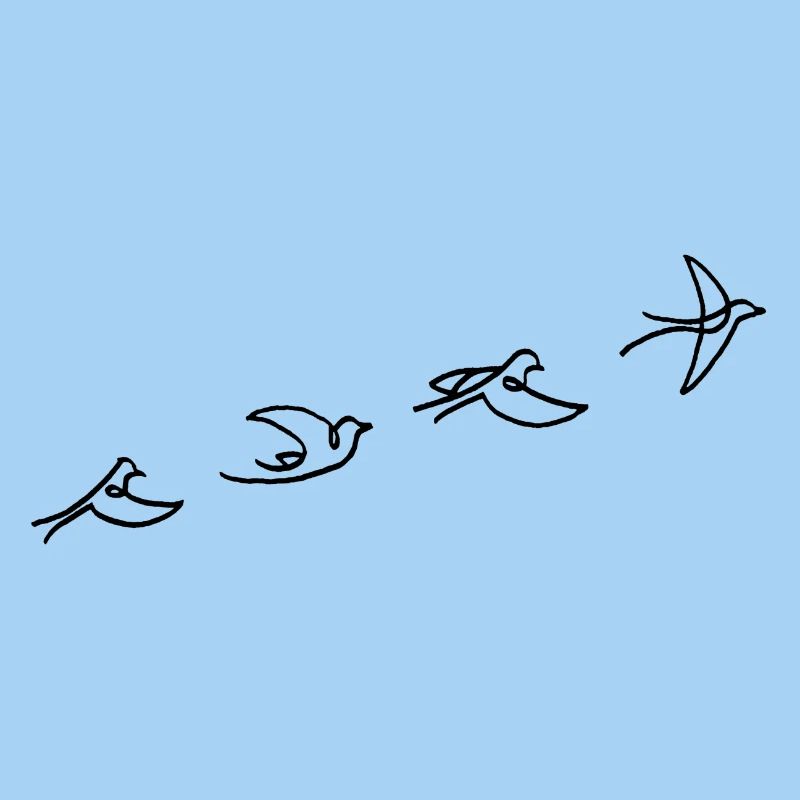The flight of the black bird