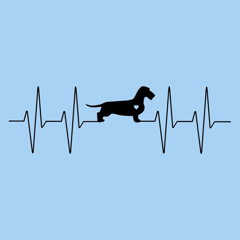 Dackel heart beat