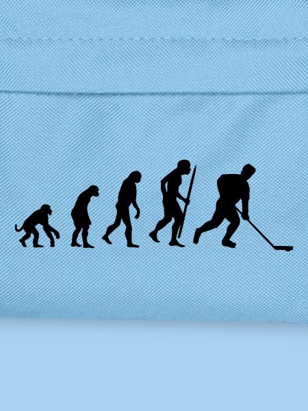evolution of  hockey_
