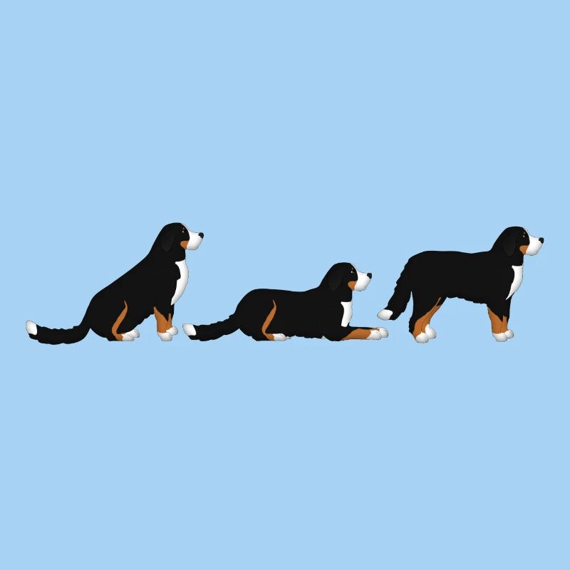 Sitz Platz Steh Berner Sennenhund