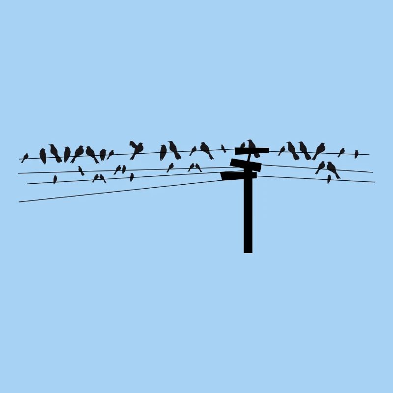 Vögel sitzen gemeinsam auf einer Stromleitung