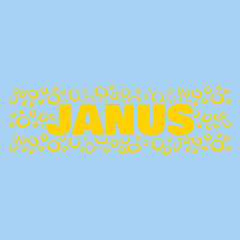 Gift idea Janus