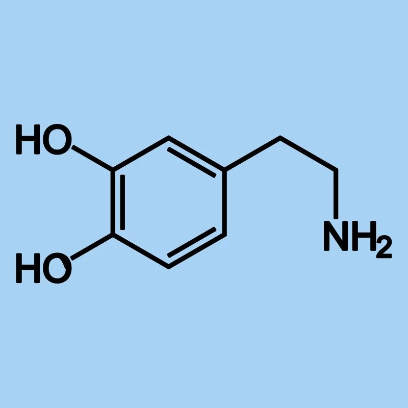 Hormone dopamine / bonheur