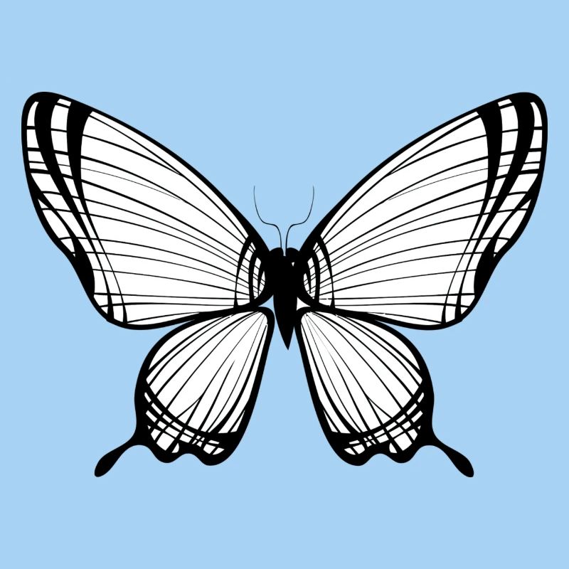 Schmetterling