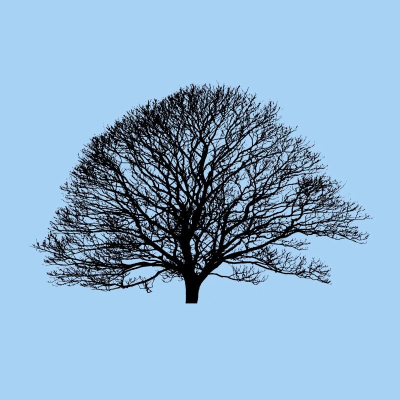 Shadow_no logo