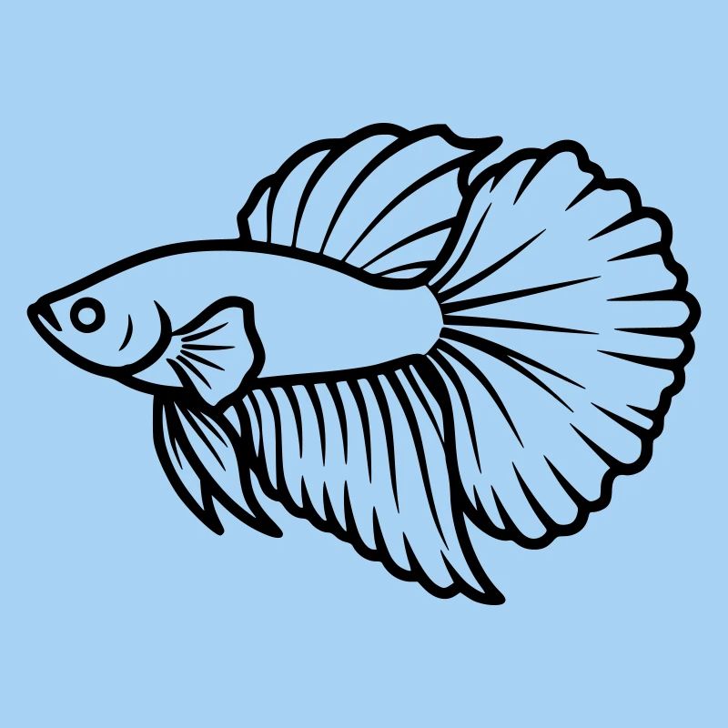 Kampffisch Betta Splendens Aquarium