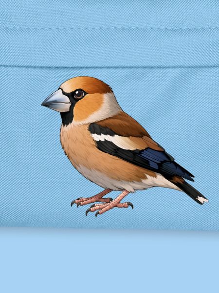 Hawfinch bird