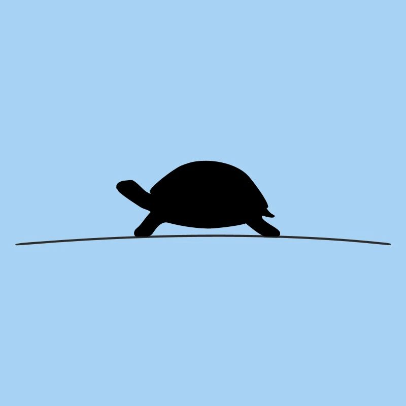 Turtle Silhouette