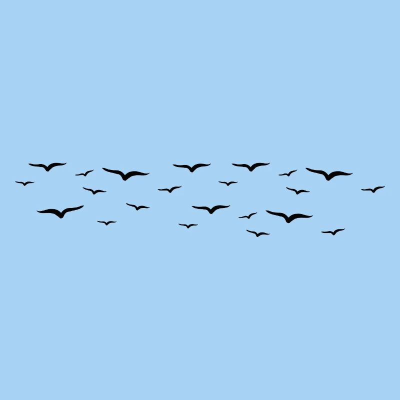 oiseaux
