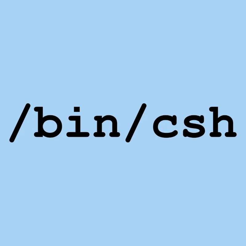 Interpréteur C - /bin/csh