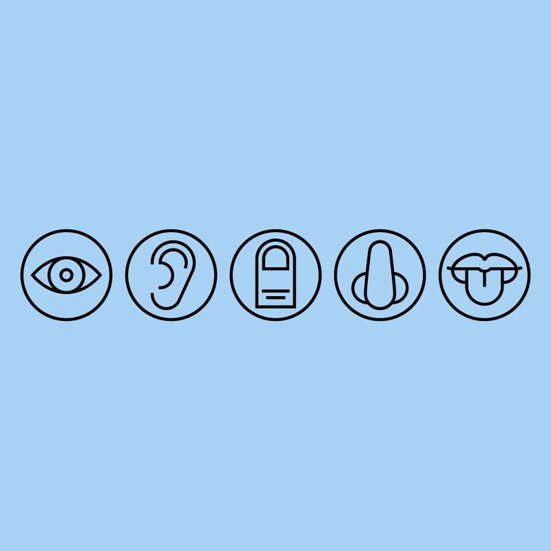 Five Senses, Sensory Organs, Medicine