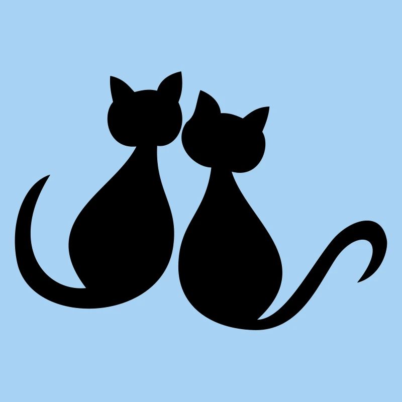 Les chats adorent la Saint-Valentin