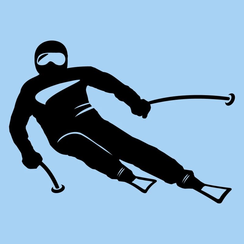 Winter - Skifahrer