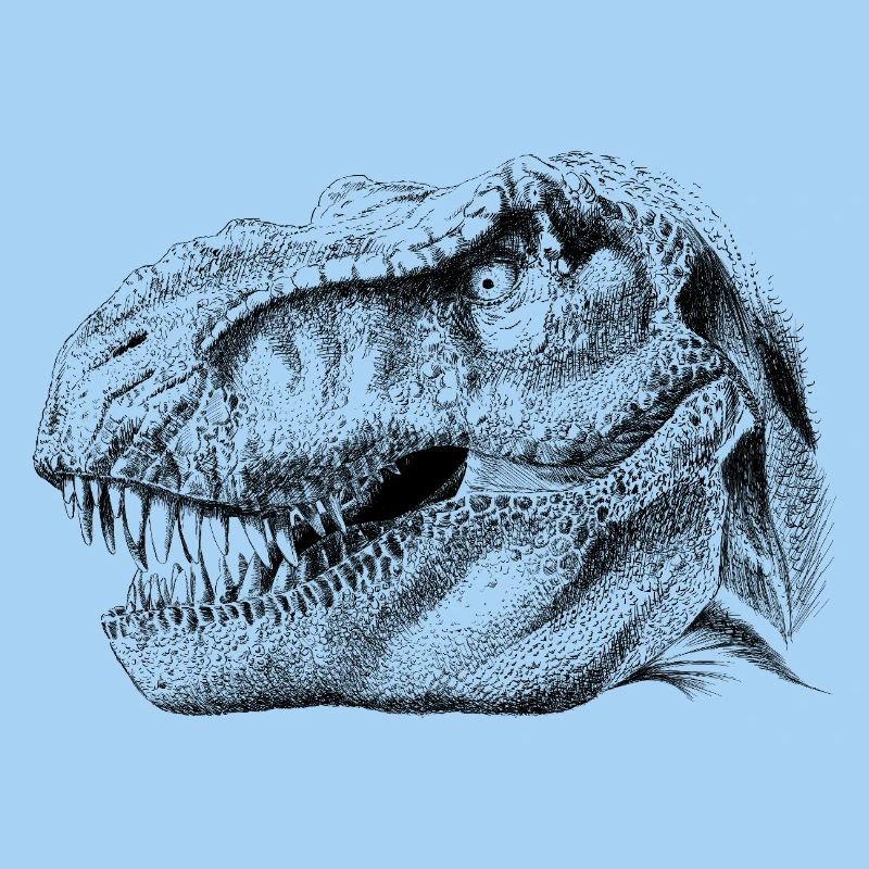 Dinosaur 
