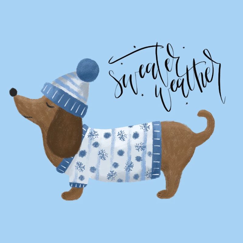 Teckel avec pull et chapeau Pull Météo bleu