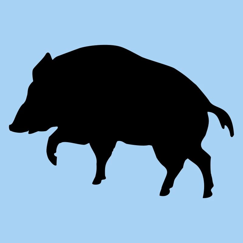 boar