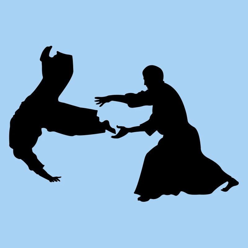 Aikido throw
