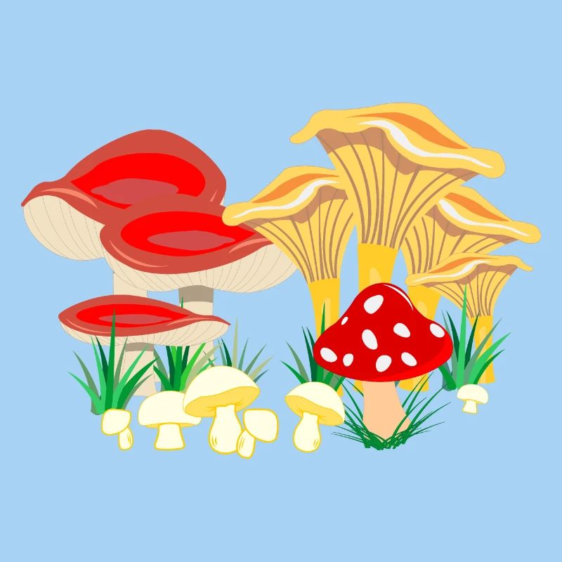 Composition colorée des champignons