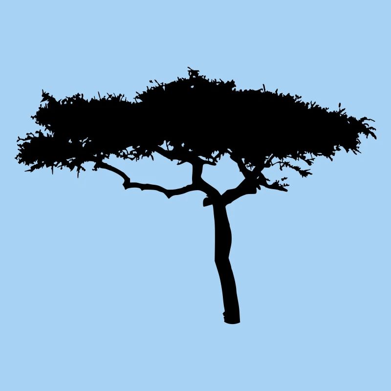 Afrika Savanne Baum