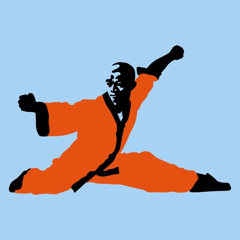 Kung fu Shaolin
