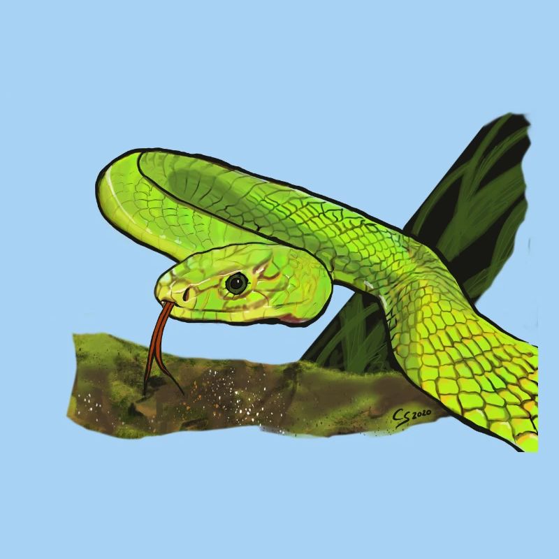 Serpent vert brillant dans la jungle