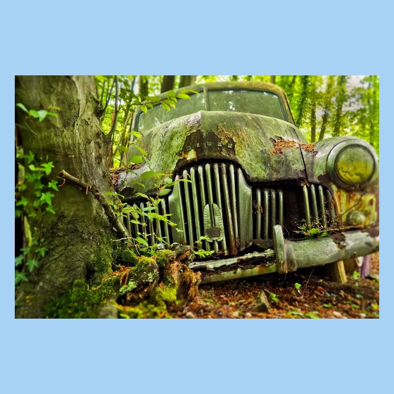 Waldverfall: Rostige Autoüberreste