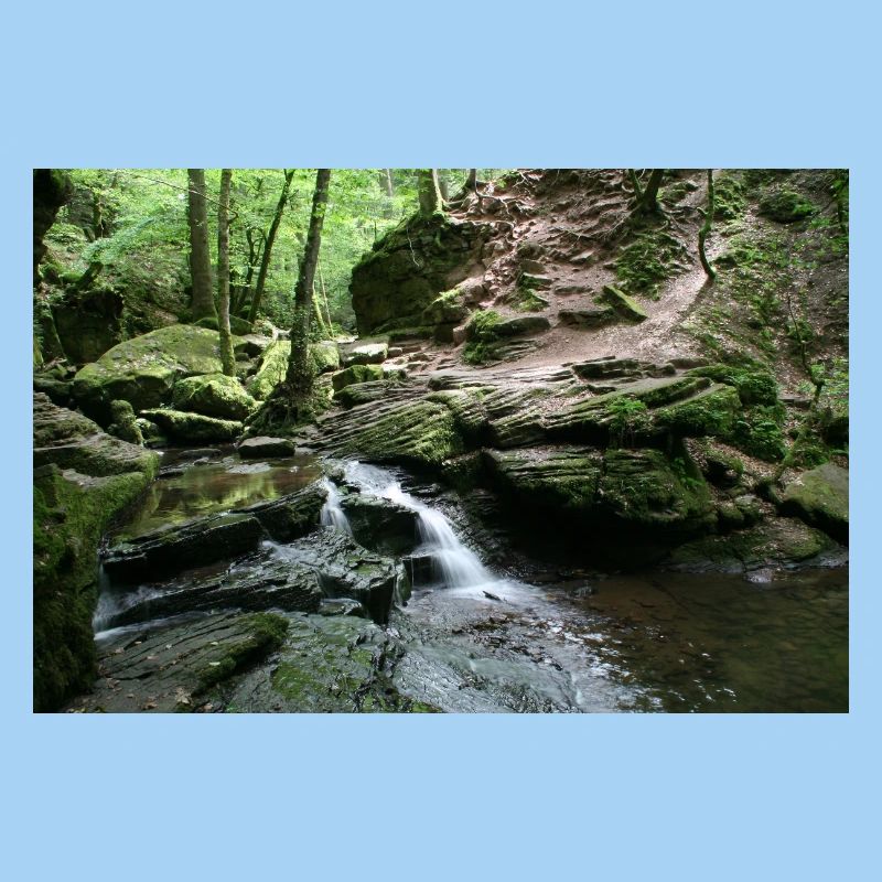 MONBACH IM NORDSCHWARZWALD