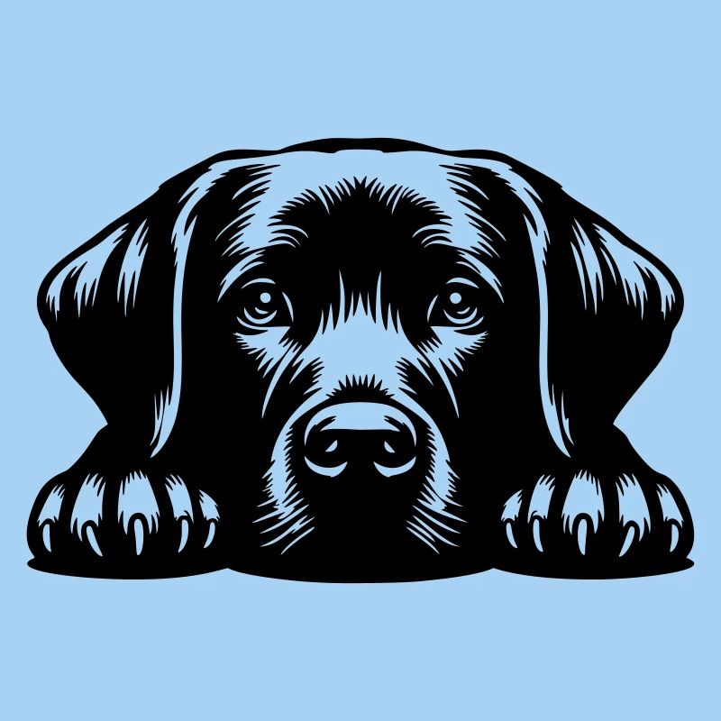 Labrador Kopf mit Pfoten