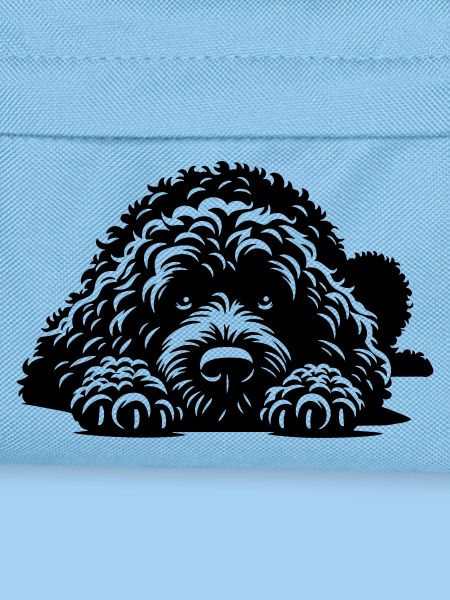 Spanish Water Dog