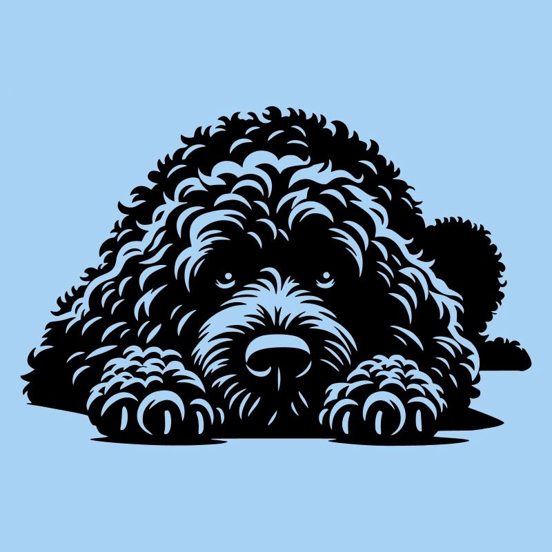 Spanischer Wasserhund