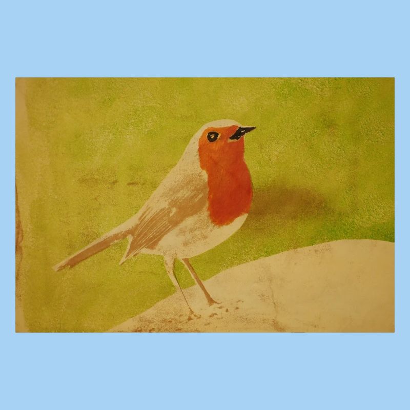 Vogelillustration mit rotem Bauch