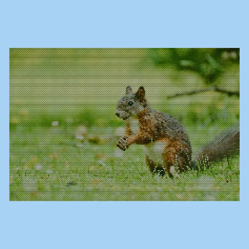 Squirrel Forest Pattern
