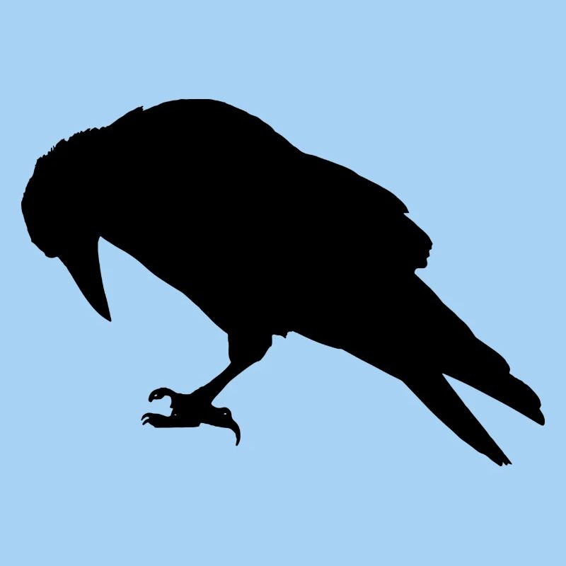 corbeau