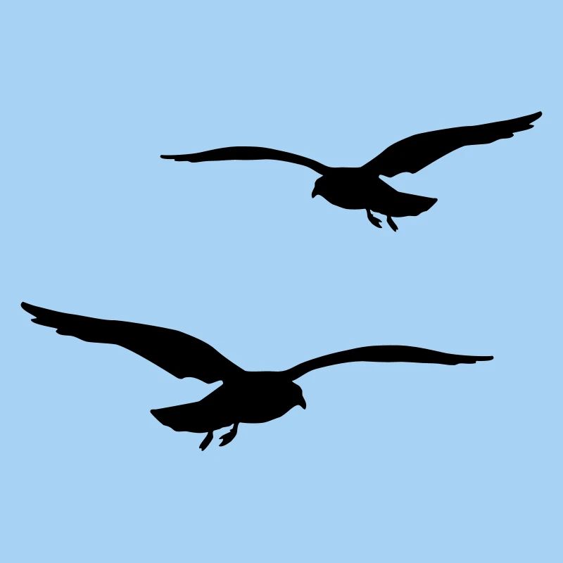 fliegende moewen vogel urlaub