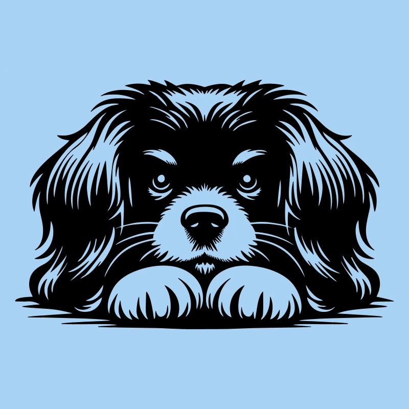 Tibet Spaniel Kopf mit Pfoten