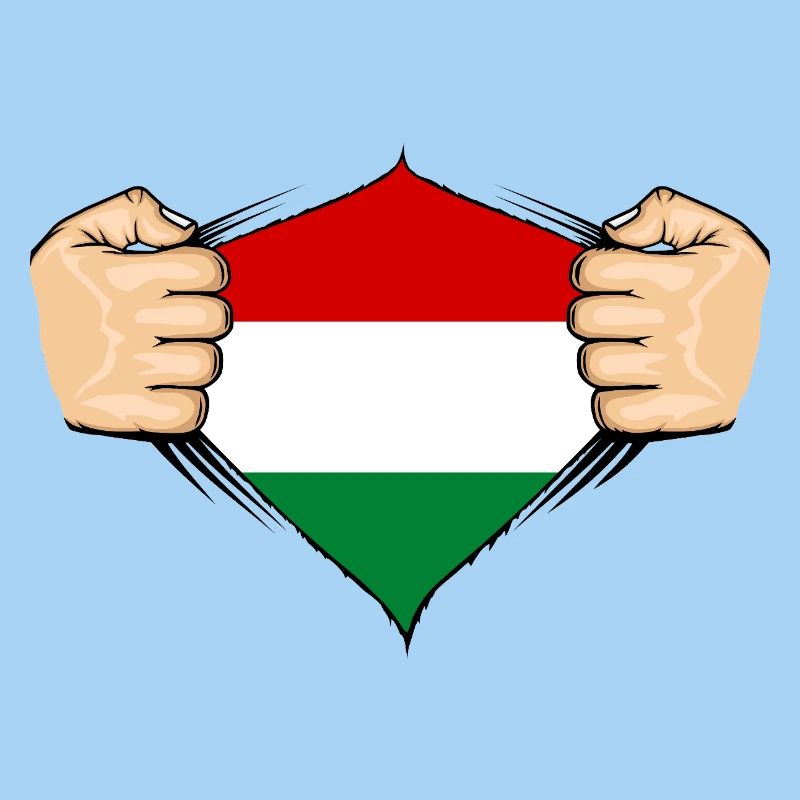 Conception du drapeau de la Hongrie