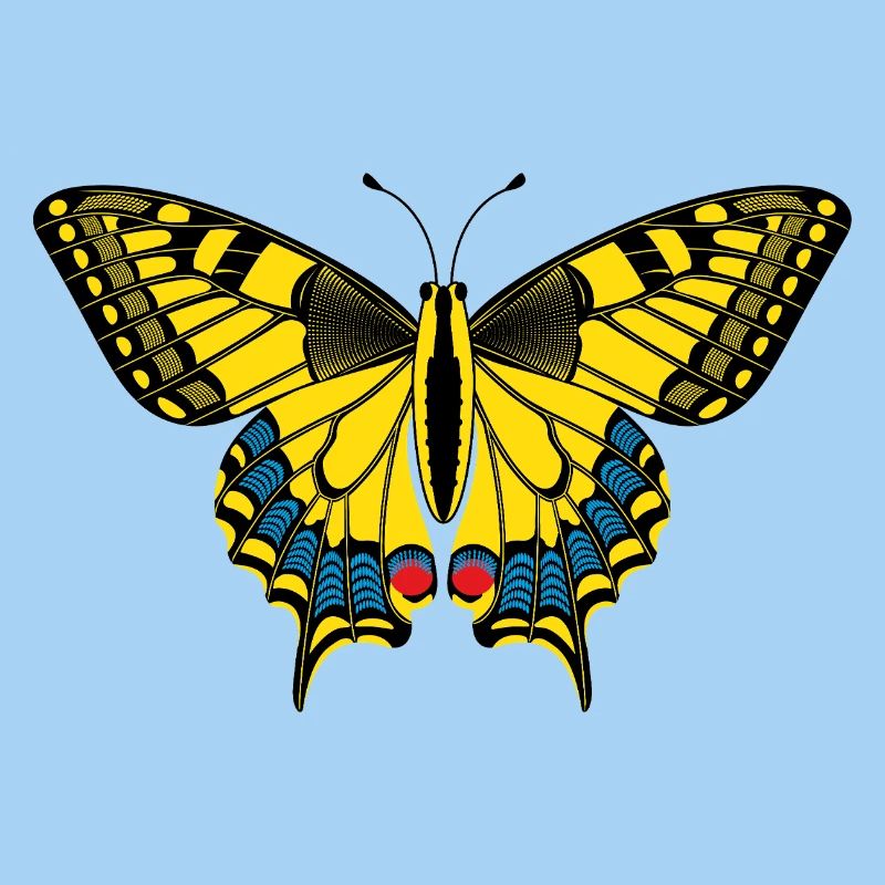 Schmetterling – Papillon