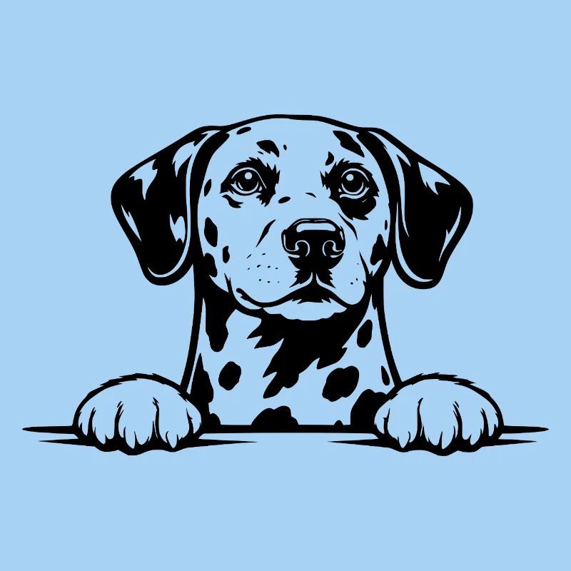 Dalmatian Portrait Black & White