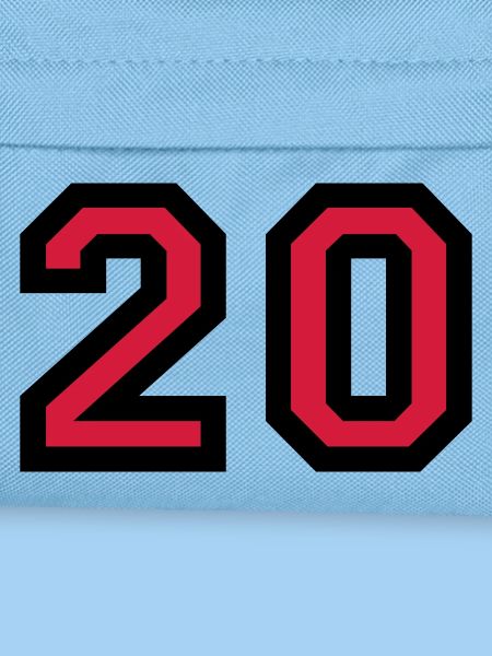 The number 20 - number twenty