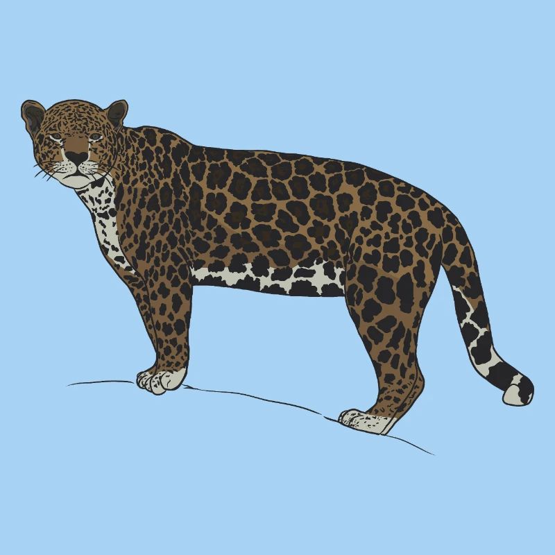 Jaguar Stare