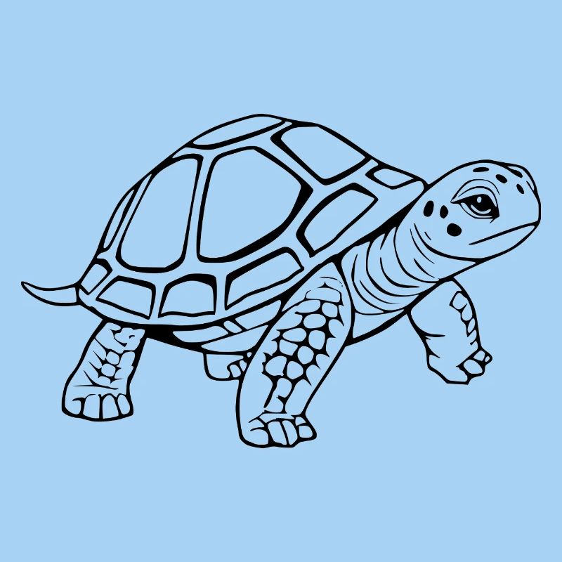 Turtle Turtles