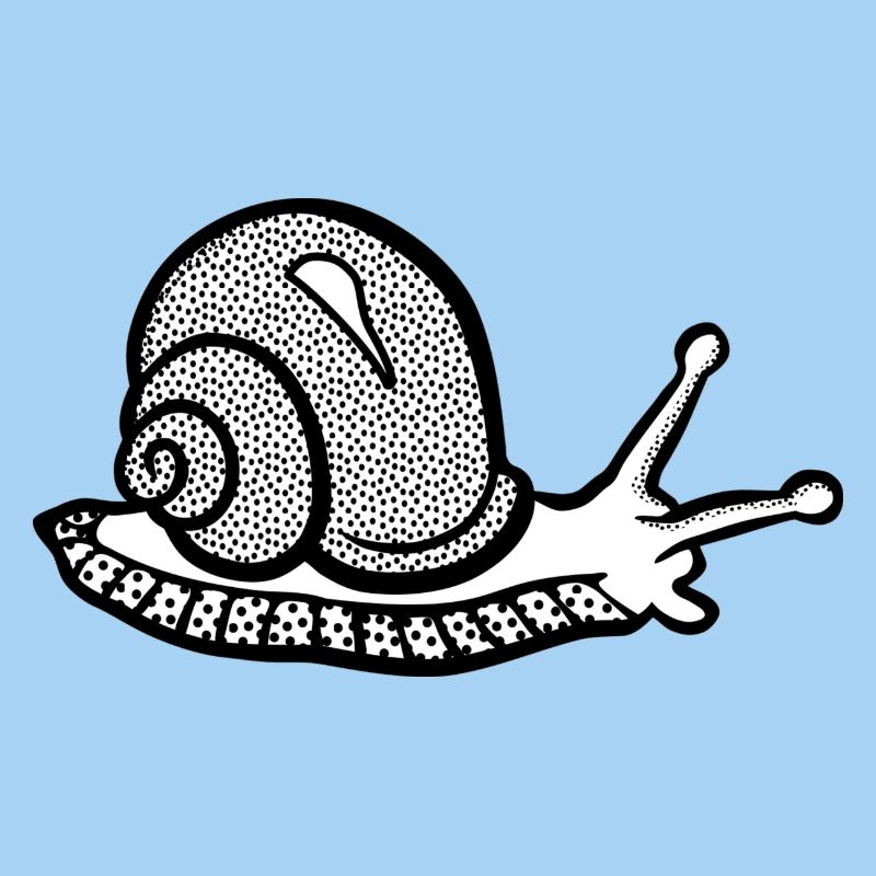 Snail black and withe