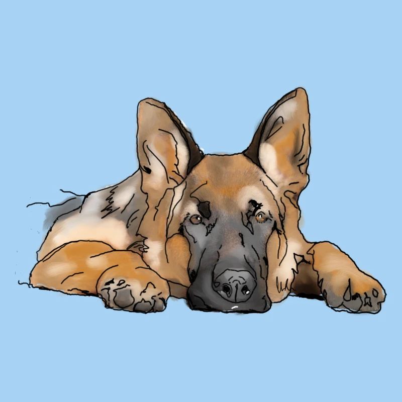 Schäferhund