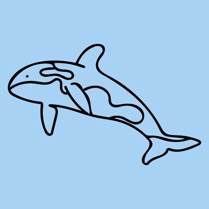 Killerwal - Orca