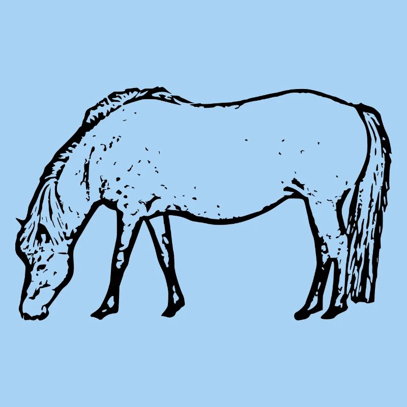 Pferd schwarz