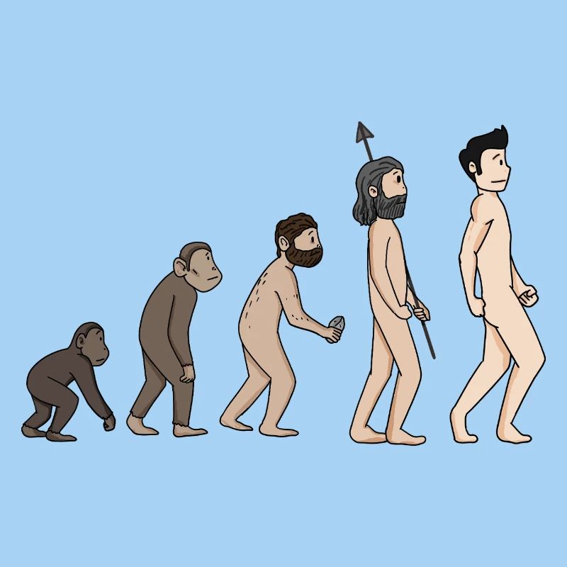 Human Development - Evolution Illustration